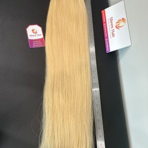 Blonde Machine Weft sheen hair vietnam