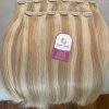 Clip-in WEFT Human Hair Extensions