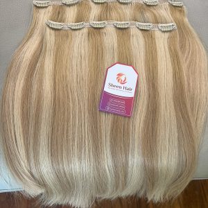Clip-in WEFT Human Hair Extensions