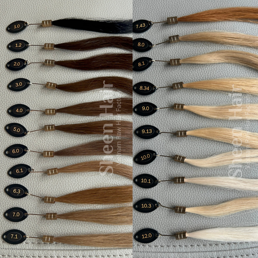 Custom Hand-Dyed Hair Extensions: 5 Powerful Reasons Beauty Lies in Color Nuances 9 Color ring Sheen hair Vietnam