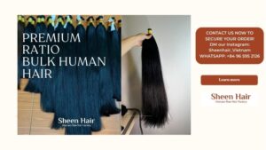 Premium Human Hair Bulk with High-Ratio Thick Ends: Why Professionals Choose Raw Hair from Sheen Hair Vietnam