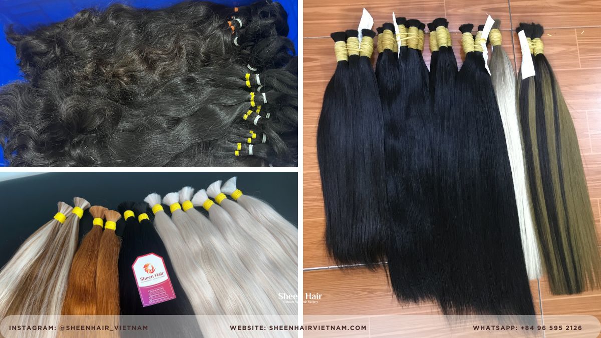 Fornecedor de cabelo humano atacado: 3 Razões Chocantes pelas quais o Cabelo Single Drawn Está a Ruinar a Reputação do Seu Salão Best Guide 5 Fornecedor de cabelo humano atacado