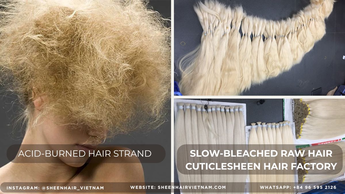 Búsqueda de extensiones rubias de primera calidad: 1 Secreto Definitivo para Frenar el Tono Amarillo con el Cabello de Aclaración Lenta - Best Hair trend 3 Sourcing premium blonde extensions - Slow bleaching hair Búsqueda de extensiones rubias