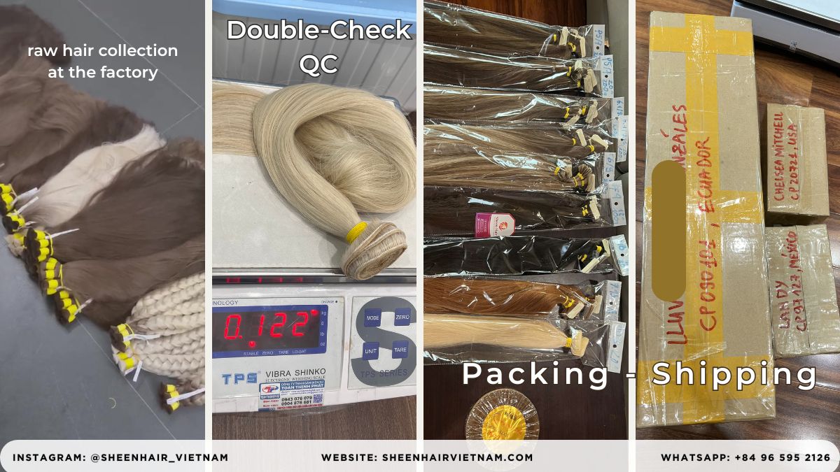 2026 Global Economy Hair Industry - showing raw hair collection, factory processing, and international express shipping routes.