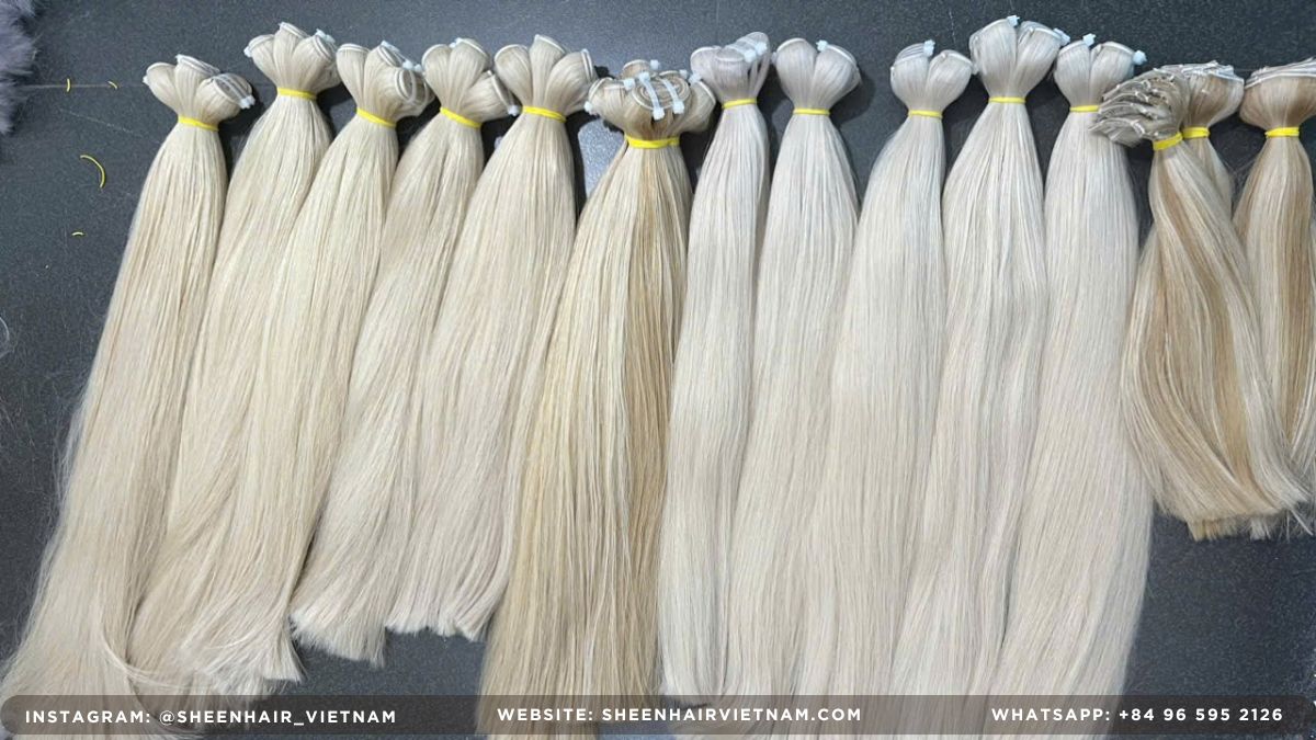 B2B hair supplier Machine weft blond hair at Sheen Hair Vietnam Factory