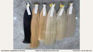 Stock Hair Extensions reliable Vietnamese hair supplier