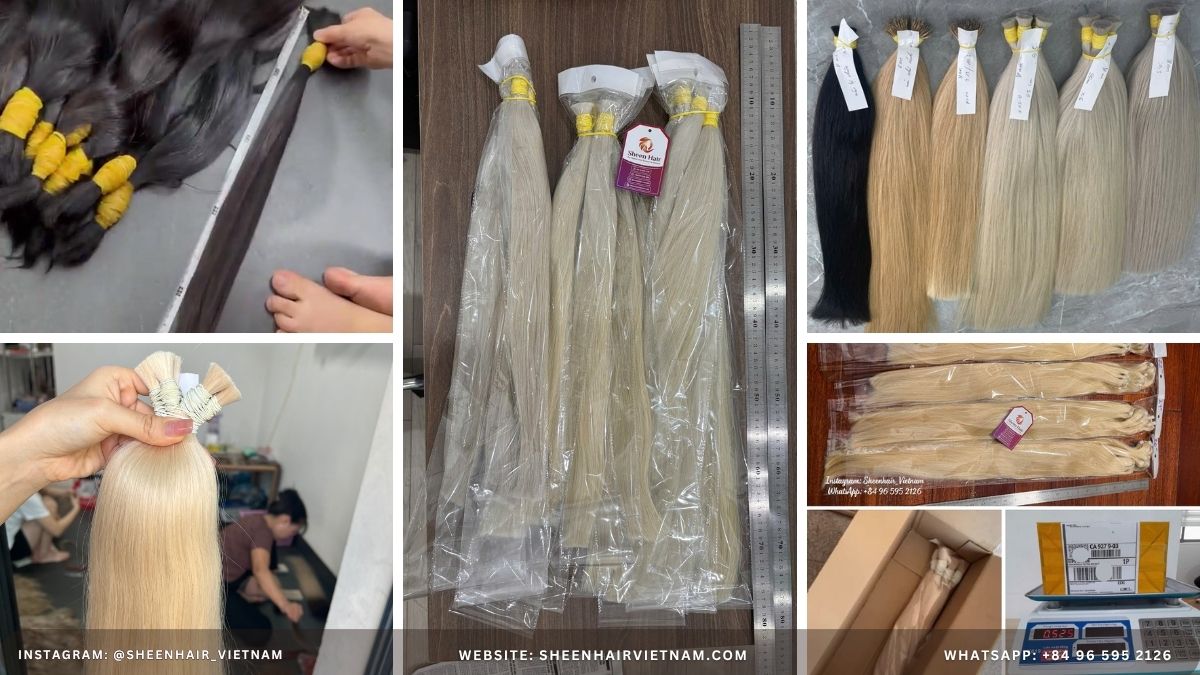 buy human hair from Vietnam Hair Extensions